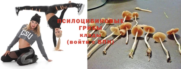 спиды Алексеевка