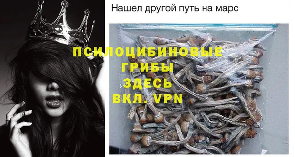 спиды Алексеевка