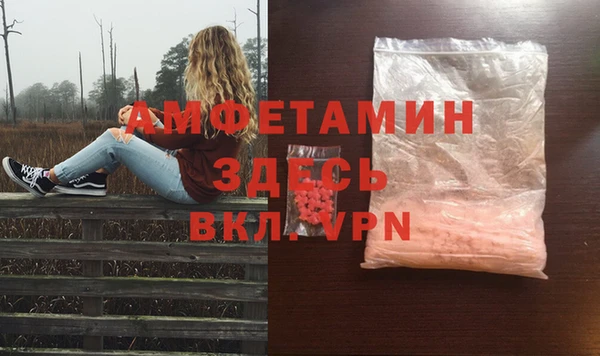 хмурый Алексин