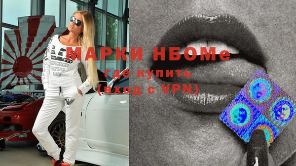 хмурый Алексин