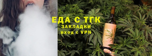 хмурый Алексин