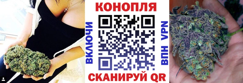 дарнет шоп  Миньяр  Шишки марихуана сатива 